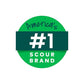 Scotch-Brite® Glass Brush, 503P-6, 6/1